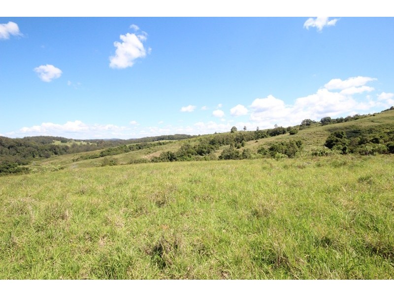 Lot 29 Tilbaroo Road, Elands NSW 2429