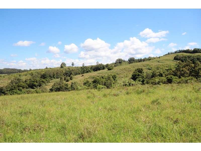 Lot 29 Tilbaroo Road, Elands NSW 2429