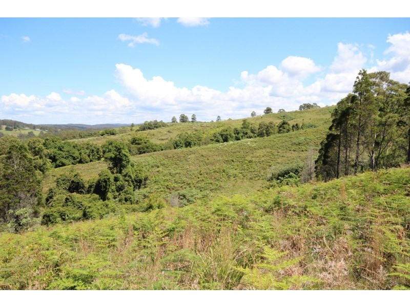 Lot 29 Tilbaroo Road, Elands NSW 2429
