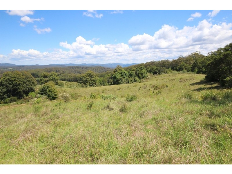 Lot 29 Tilbaroo Road, Elands NSW 2429