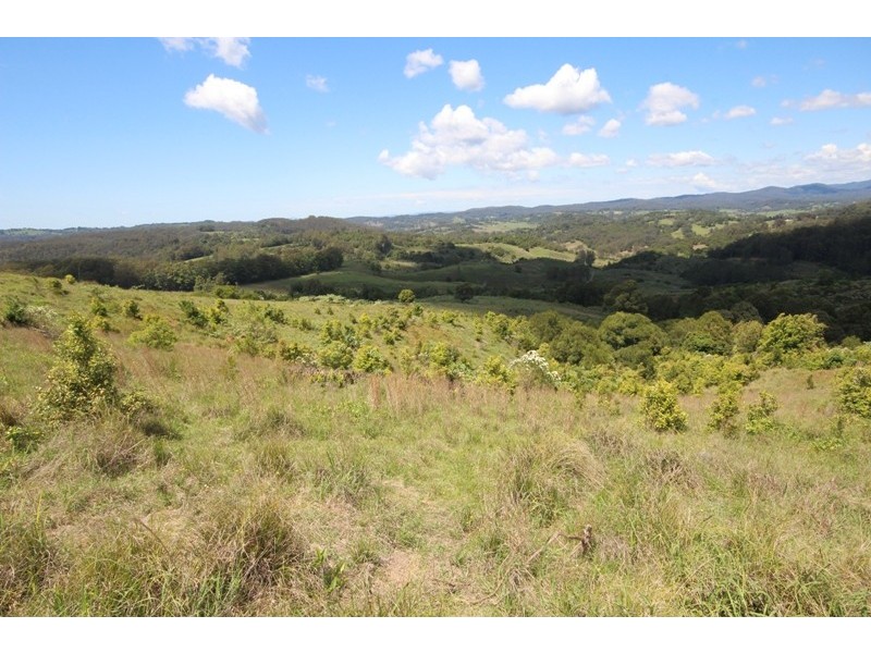 Lot 29 Tilbaroo Road, Elands NSW 2429