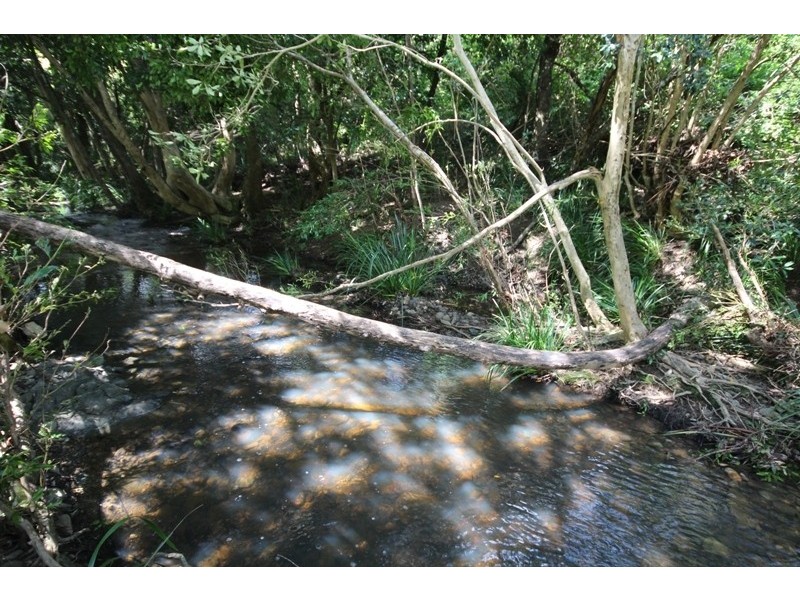 147 Curreeki Creek Road, Coolongolook NSW 2423