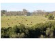 361 Gloucester Road, Burrell Creek NSW 2429
