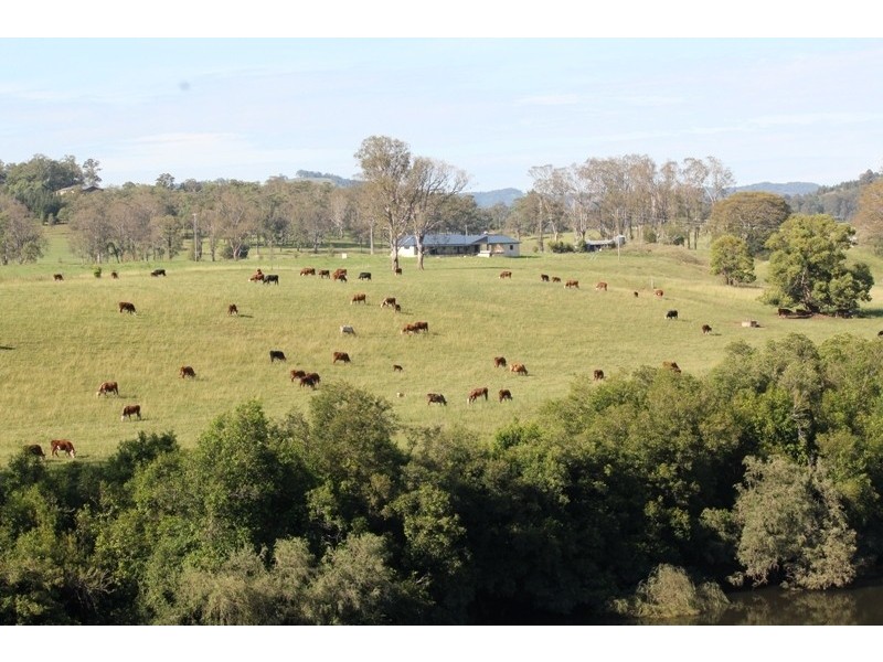 361 Gloucester Road, Burrell Creek NSW 2429