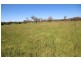 361 Gloucester Road, Burrell Creek NSW 2429