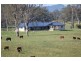 361 Gloucester Road, Burrell Creek NSW 2429