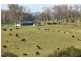 361 Gloucester Road, Burrell Creek NSW 2429