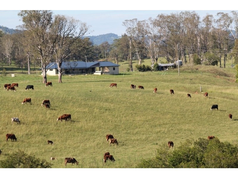 361 Gloucester Road, Burrell Creek NSW 2429