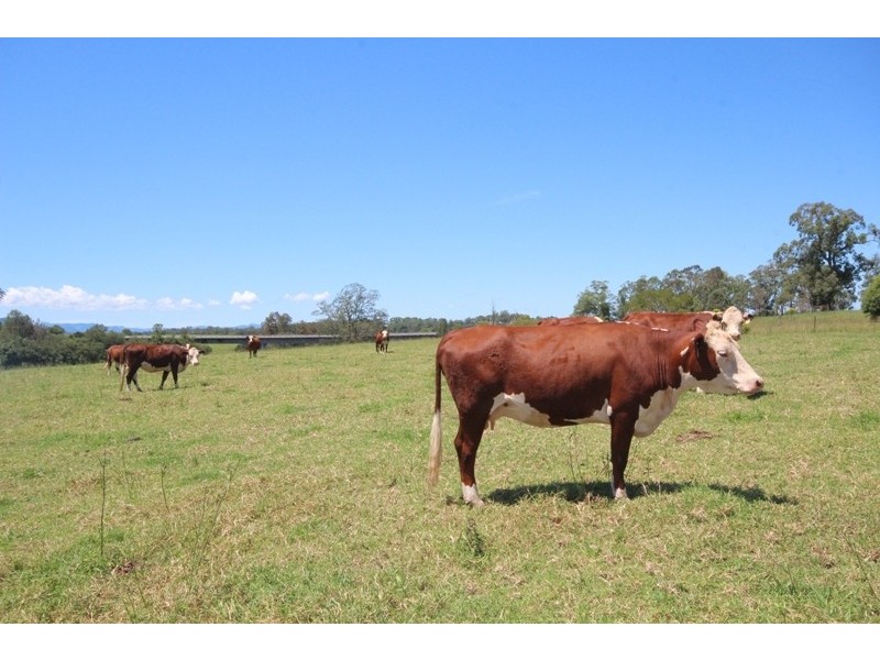 361 Gloucester Road, Burrell Creek NSW 2429