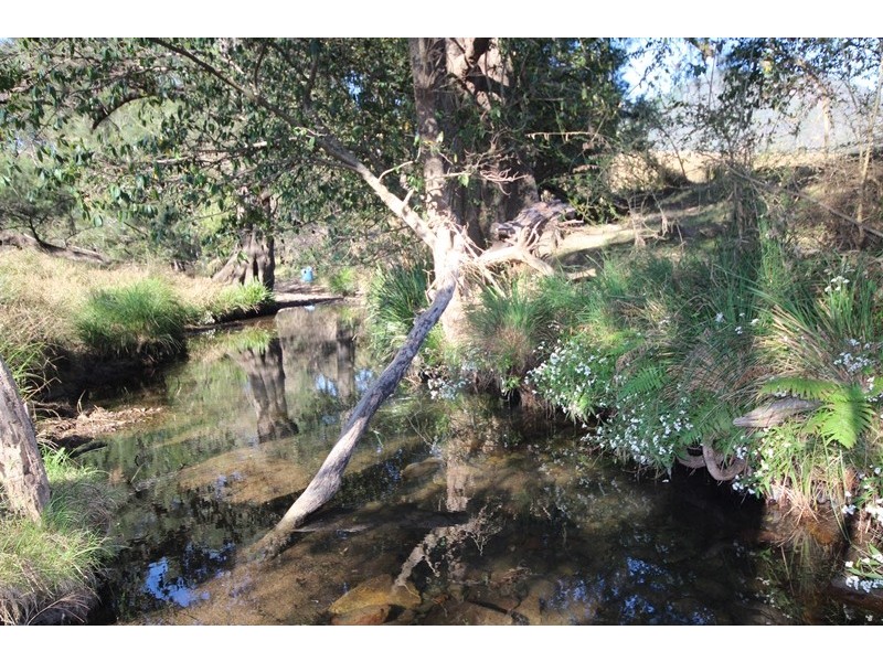 4 Knodingbul Forest Road, Mount George NSW 2424