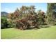 3 Burri Close, Wingham NSW 2429