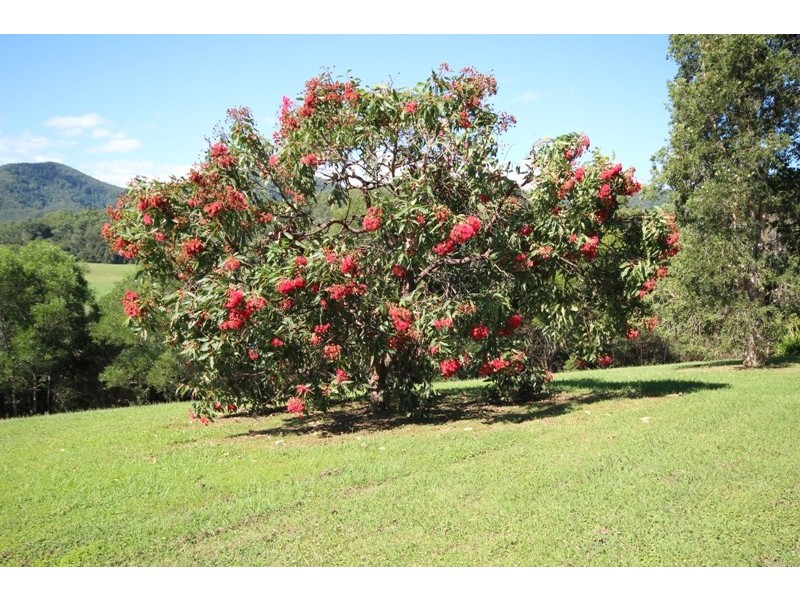 3 Burri Close, Wingham NSW 2429