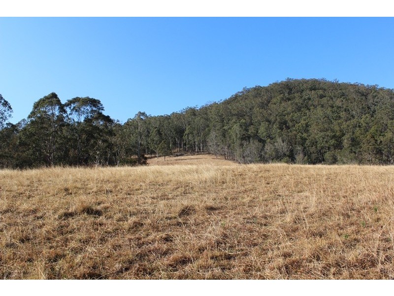 2053 Nowendoc Road, Mount George NSW 2424