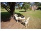 226 Kundle Kundle Road, Kundle Kundle NSW 2430