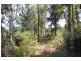 379 Brimbin Road, Cundletown NSW 2430