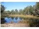 379 Brimbin Road, Cundletown NSW 2430