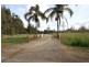247 Pampoolah Road, Pampoolah NSW 2430
