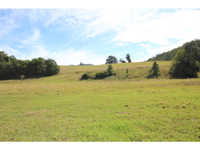 2146 Nowendoc Road, Wingham NSW 2429