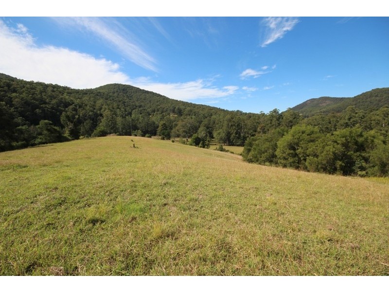 2146 Nowendoc Road, Wingham NSW 2429