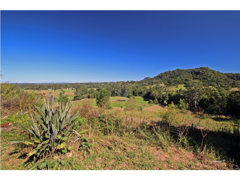 12 Cicolini Close, Upper Lansdowne NSW 2430