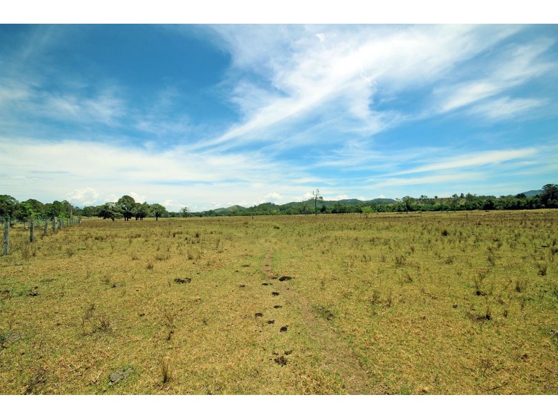 2731 Wallanbah Road, Firefly NSW 2429