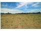 2731 Wallanbah Road, Firefly NSW 2429