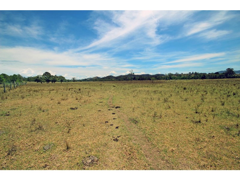 2731 Wallanbah Road, Firefly NSW 2429