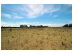 2731 Wallanbah Road, Firefly NSW 2429