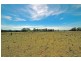 2731 Wallanbah Road, Firefly NSW 2429