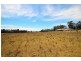 2731 Wallanbah Road, Firefly NSW 2429