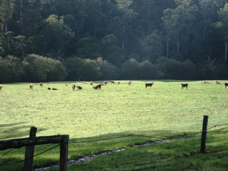 N/ A Combienbar Road, Club Terrace VIC 3889