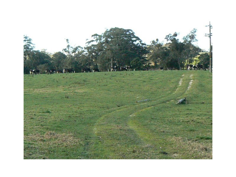 64 POWS ROAD, Cabbage Tree Creek VIC 3889