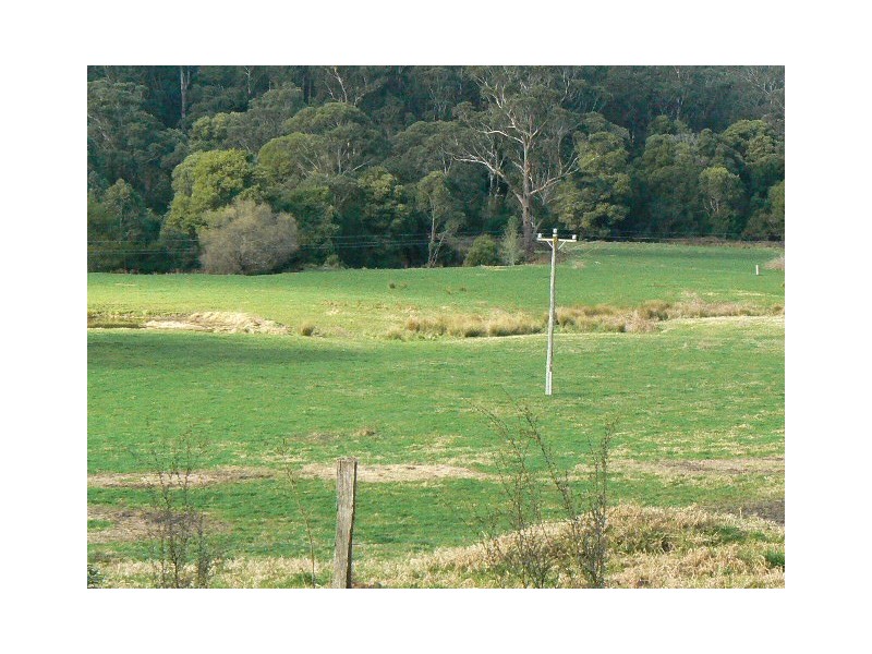 64 POWS ROAD, Cabbage Tree Creek VIC 3889