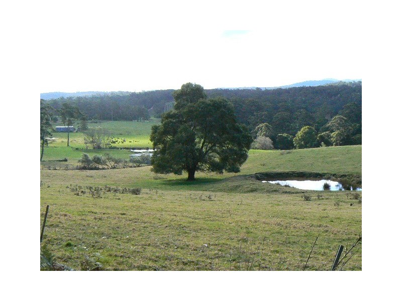 64 POWS ROAD, Cabbage Tree Creek VIC 3889