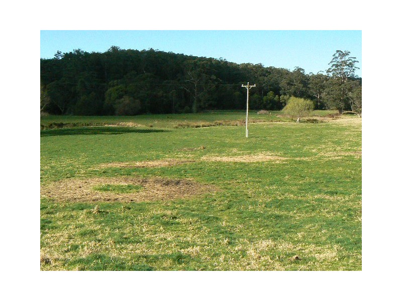 64 POWS ROAD, Cabbage Tree Creek VIC 3889