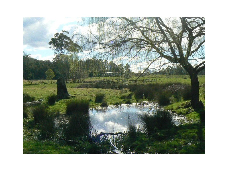 64 POWS ROAD, Cabbage Tree Creek VIC 3889