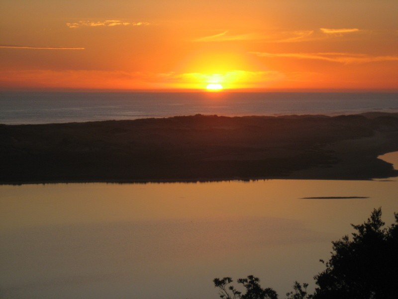 5 Jorgenson, Marlo VIC 3888