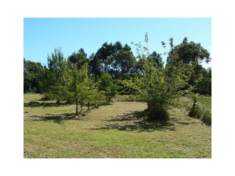 409 LAKE ROAD, Newmerella VIC 3886