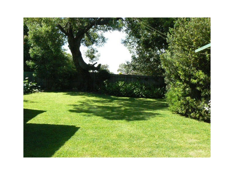 91 GLADSTONE STREET, Orbost VIC 3888