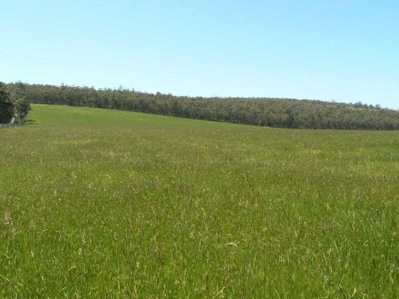 0 TABBARA ROAD, BRODRIBB, Orbost VIC 3888