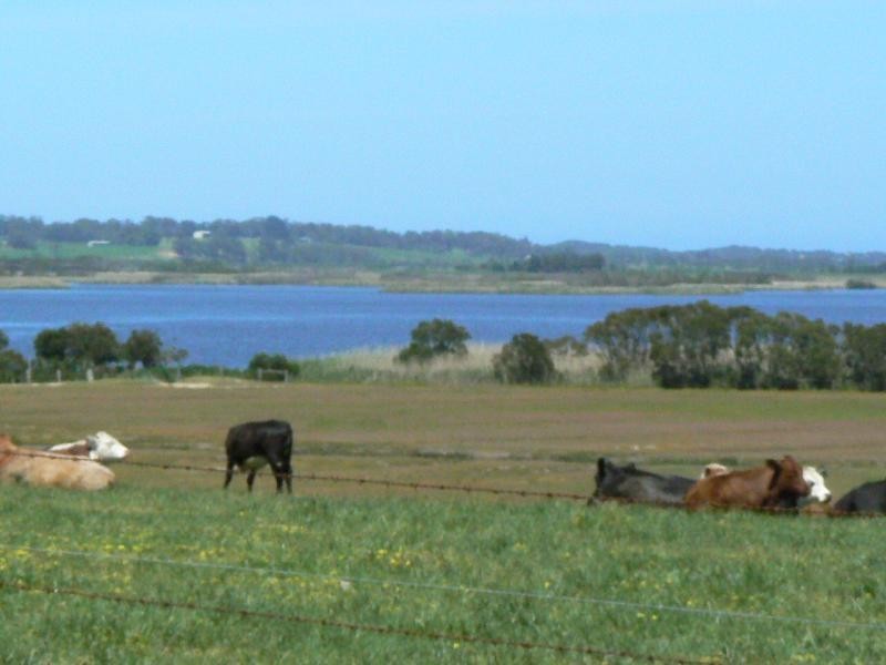 0 TABBARA ROAD, BRODRIBB, Orbost VIC 3888