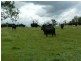 3867 PRINCES HIGHWAY, Orbost VIC 3888