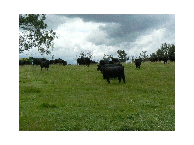3867 PRINCES HIGHWAY, Orbost VIC 3888