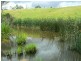 3867 PRINCES HIGHWAY, Orbost VIC 3888