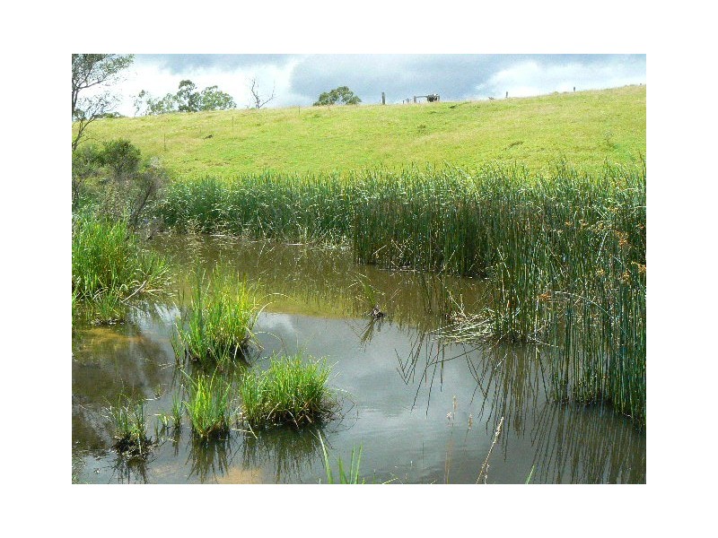 3867 PRINCES HIGHWAY, Orbost VIC 3888