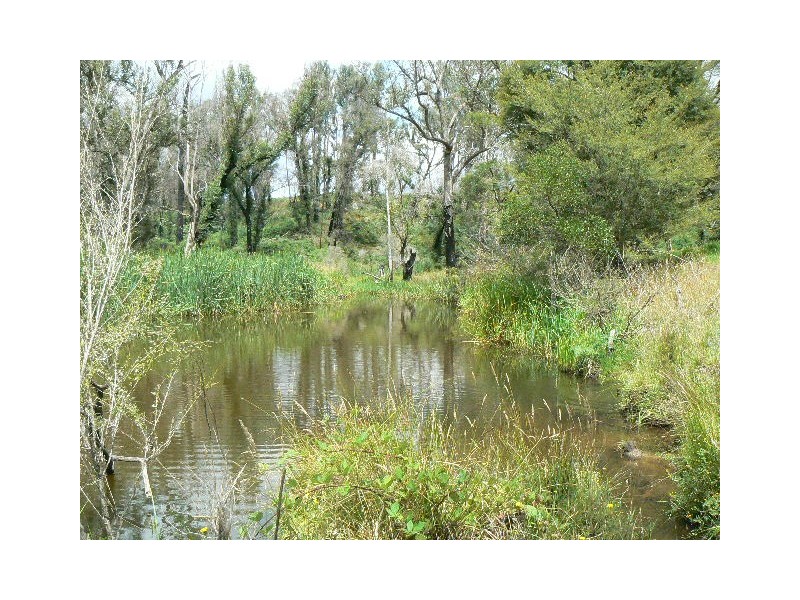 3867 PRINCES HIGHWAY, Orbost VIC 3888