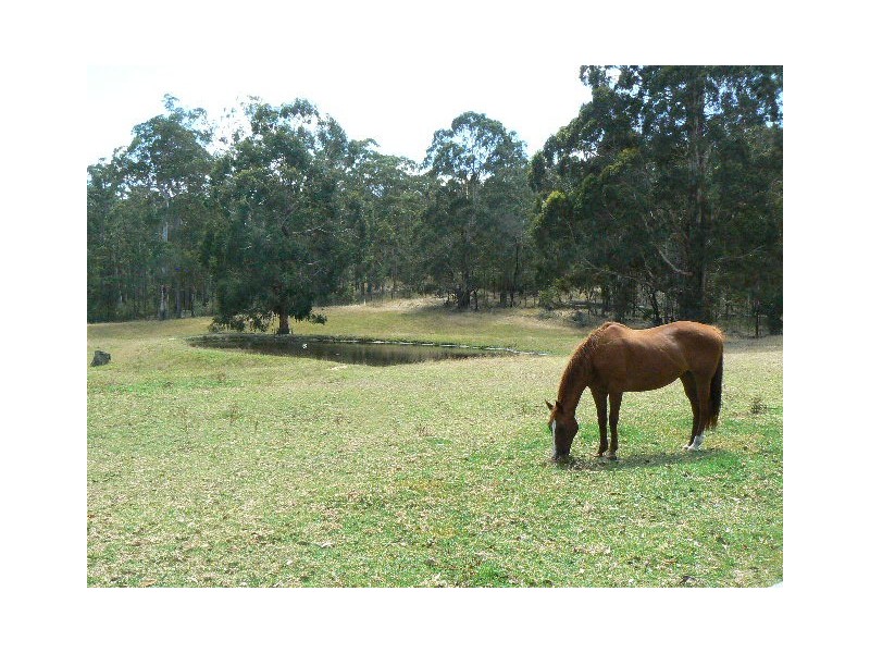 55 HADFIELDS ROAD, Cann River VIC 3890