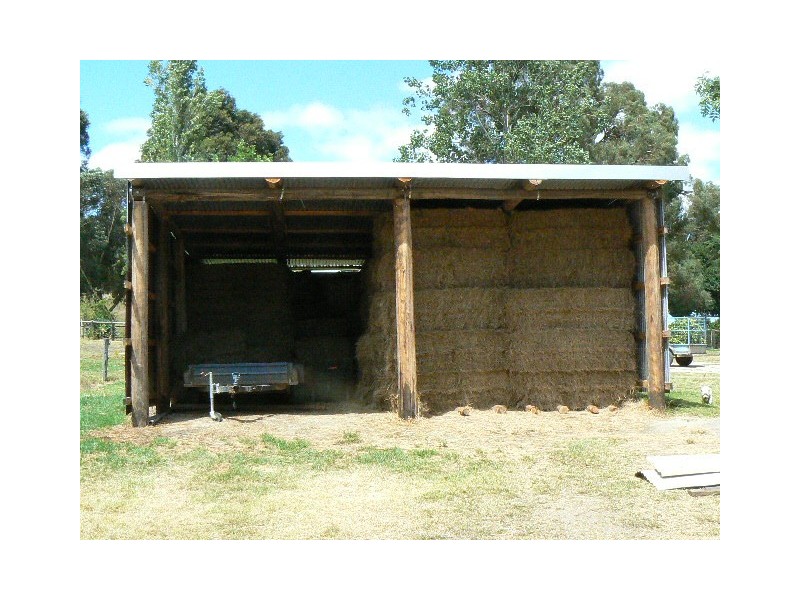 55 HADFIELDS ROAD, Cann River VIC 3890