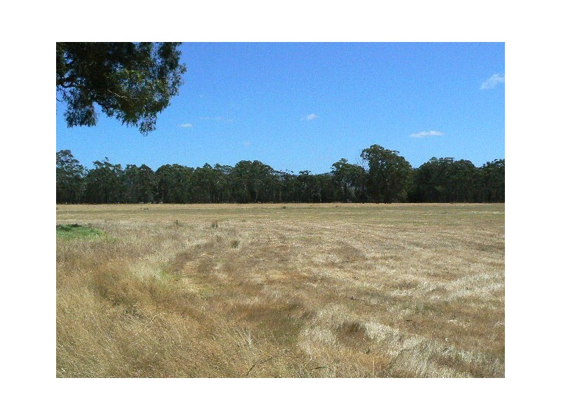 55 HADFIELDS ROAD, Cann River VIC 3890