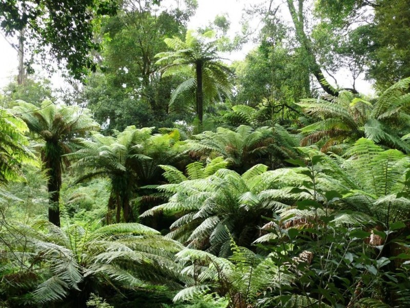 Lot 2, 371  CLUB TERRACE LOOP ROAD, Club Terrace VIC 3889